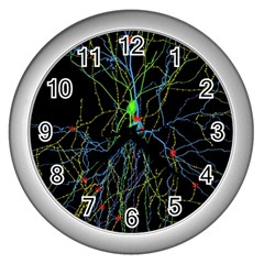 Synaptic Connections Between Pyramida Neurons And Gabaergic Interneurons Were Labeled Biotin During Wall Clocks (silver)  by Mariart