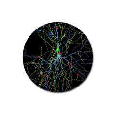 Synaptic Connections Between Pyramida Neurons And Gabaergic Interneurons Were Labeled Biotin During Magnet 3  (round) by Mariart