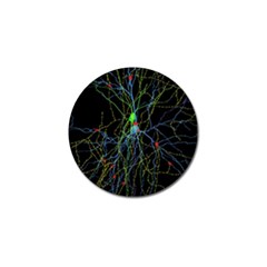 Synaptic Connections Between Pyramida Neurons And Gabaergic Interneurons Were Labeled Biotin During Golf Ball Marker (4 Pack) by Mariart