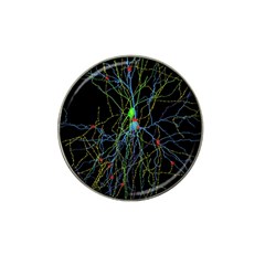 Synaptic Connections Between Pyramida Neurons And Gabaergic Interneurons Were Labeled Biotin During Hat Clip Ball Marker (4 Pack) by Mariart