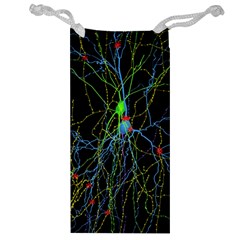 Synaptic Connections Between Pyramida Neurons And Gabaergic Interneurons Were Labeled Biotin During Jewelry Bag by Mariart