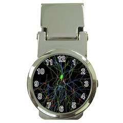 Synaptic Connections Between Pyramida Neurons And Gabaergic Interneurons Were Labeled Biotin During Money Clip Watches by Mariart