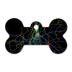 Synaptic Connections Between Pyramida Neurons And Gabaergic Interneurons Were Labeled Biotin During Dog Tag Bone (two Sides) by Mariart