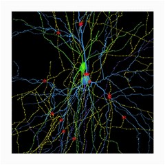 Synaptic Connections Between Pyramida Neurons And Gabaergic Interneurons Were Labeled Biotin During Medium Glasses Cloth by Mariart