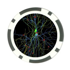 Synaptic Connections Between Pyramida Neurons And Gabaergic Interneurons Were Labeled Biotin During Poker Chip Card Guard by Mariart