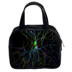 Synaptic Connections Between Pyramida Neurons And Gabaergic Interneurons Were Labeled Biotin During Classic Handbags (2 Sides) by Mariart