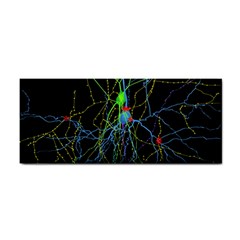 Synaptic Connections Between Pyramida Neurons And Gabaergic Interneurons Were Labeled Biotin During Cosmetic Storage Cases by Mariart