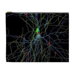 Synaptic Connections Between Pyramida Neurons And Gabaergic Interneurons Were Labeled Biotin During Cosmetic Bag (xl) by Mariart