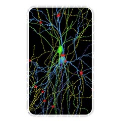 Synaptic Connections Between Pyramida Neurons And Gabaergic Interneurons Were Labeled Biotin During Memory Card Reader by Mariart