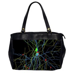 Synaptic Connections Between Pyramida Neurons And Gabaergic Interneurons Were Labeled Biotin During Office Handbags (2 Sides)  by Mariart