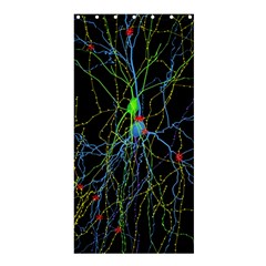 Synaptic Connections Between Pyramida Neurons And Gabaergic Interneurons Were Labeled Biotin During Shower Curtain 36  X 72  (stall)  by Mariart