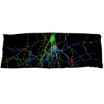 Synaptic Connections Between Pyramida Neurons And Gabaergic Interneurons Were Labeled Biotin During Body Pillow Case (Dakimakura) Body Pillow Case