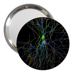 Synaptic Connections Between Pyramida Neurons And Gabaergic Interneurons Were Labeled Biotin During 3  Handbag Mirrors