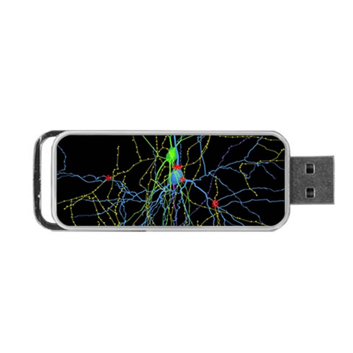 Synaptic Connections Between Pyramida Neurons And Gabaergic Interneurons Were Labeled Biotin During Portable USB Flash (Two Sides)