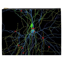 Synaptic Connections Between Pyramida Neurons And Gabaergic Interneurons Were Labeled Biotin During Cosmetic Bag (xxxl)  by Mariart