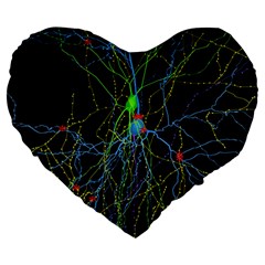 Synaptic Connections Between Pyramida Neurons And Gabaergic Interneurons Were Labeled Biotin During Large 19  Premium Heart Shape Cushions