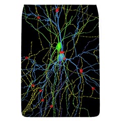 Synaptic Connections Between Pyramida Neurons And Gabaergic Interneurons Were Labeled Biotin During Flap Covers (s)  by Mariart