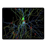 Synaptic Connections Between Pyramida Neurons And Gabaergic Interneurons Were Labeled Biotin During Double Sided Fleece Blanket (Small)  45 x34  Blanket Back