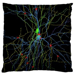 Synaptic Connections Between Pyramida Neurons And Gabaergic Interneurons Were Labeled Biotin During Large Flano Cushion Case (one Side) by Mariart