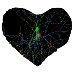 Synaptic Connections Between Pyramida Neurons And Gabaergic Interneurons Were Labeled Biotin During Large 19  Premium Flano Heart Shape Cushions by Mariart