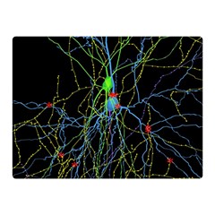 Synaptic Connections Between Pyramida Neurons And Gabaergic Interneurons Were Labeled Biotin During Double Sided Flano Blanket (mini)  by Mariart