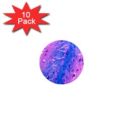 The Luxol Fast Blue Myelin Stain 1  Mini Magnet (10 Pack)  by Mariart