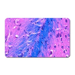 The Luxol Fast Blue Myelin Stain Magnet (rectangular)