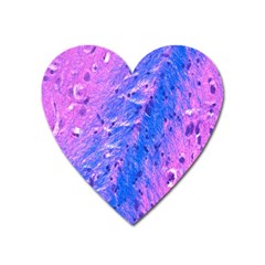 The Luxol Fast Blue Myelin Stain Heart Magnet by Mariart