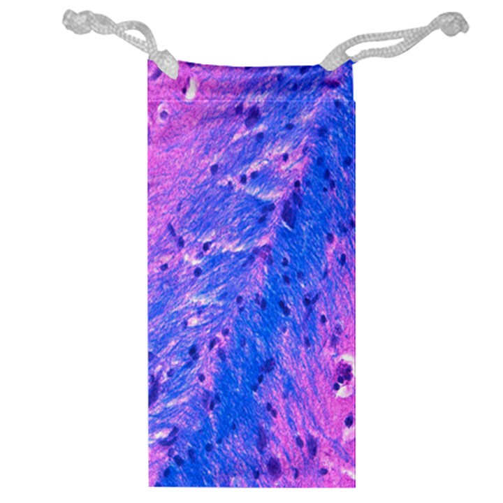 The Luxol Fast Blue Myelin Stain Jewelry Bag