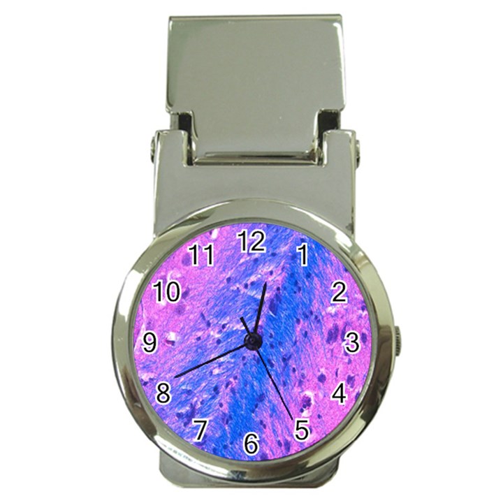 The Luxol Fast Blue Myelin Stain Money Clip Watches