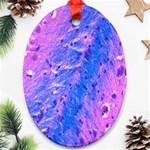 The Luxol Fast Blue Myelin Stain Oval Ornament (Two Sides) Back