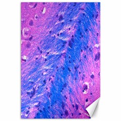 The Luxol Fast Blue Myelin Stain Canvas 12  X 18   by Mariart