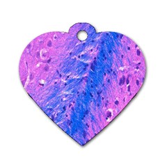 The Luxol Fast Blue Myelin Stain Dog Tag Heart (two Sides) by Mariart