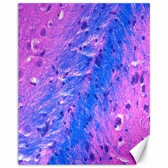 The Luxol Fast Blue Myelin Stain Canvas 11  X 14   by Mariart