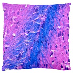 The Luxol Fast Blue Myelin Stain Large Cushion Case (one Side)