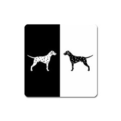 Dalmatian Dog Square Magnet by Valentinaart