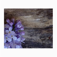 Lilac Small Glasses Cloth by PhotoThisxyz