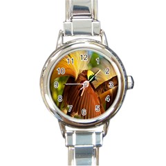 Birds Paradise Cendrawasih Round Italian Charm Watch by Mariart