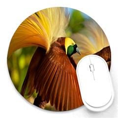 Birds Paradise Cendrawasih Round Mousepads by Mariart