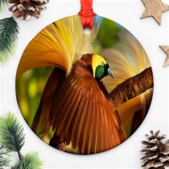 Birds Paradise Cendrawasih Ornament (round) by Mariart