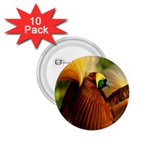 Birds Paradise Cendrawasih 1 75  Buttons (10 Pack) by Mariart