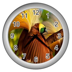 Birds Paradise Cendrawasih Wall Clocks (silver)  by Mariart