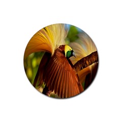 Birds Paradise Cendrawasih Rubber Coaster (round) 