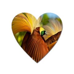 Birds Paradise Cendrawasih Heart Magnet by Mariart