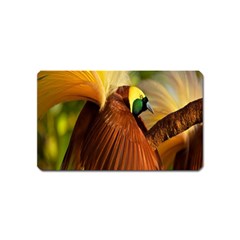 Birds Paradise Cendrawasih Magnet (name Card)