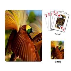 Birds Paradise Cendrawasih Playing Card by Mariart