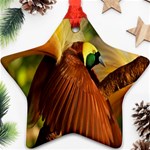 Birds Paradise Cendrawasih Star Ornament (Two Sides) Front