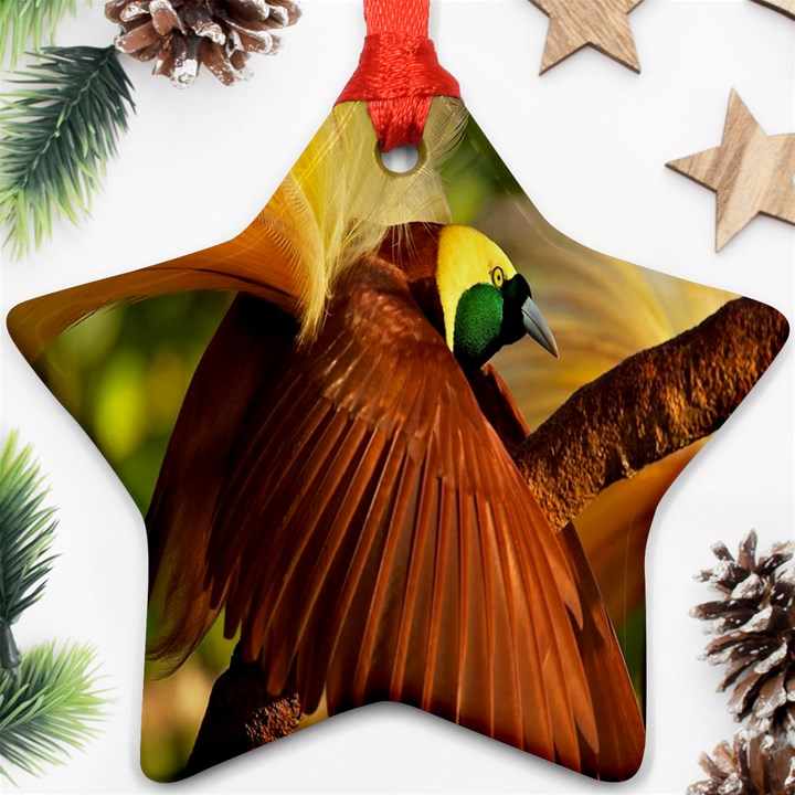 Birds Paradise Cendrawasih Star Ornament (Two Sides)