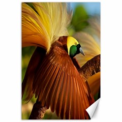 Birds Paradise Cendrawasih Canvas 24  X 36  by Mariart