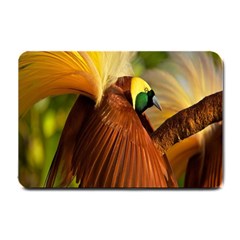 Birds Paradise Cendrawasih Small Doormat  by Mariart